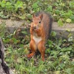 Центральный парк культуры и отдыха имени П.П. Белоусова