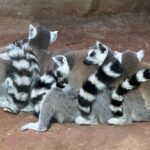 Центральный парк культуры и отдыха имени П.П. Белоусова