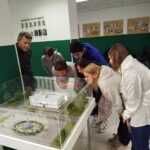 Экскурсия в Тульском филиале музея Банка России