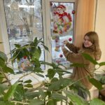 Новогодние окна