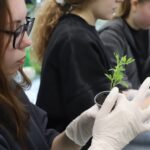 Ура! Профориентация!