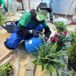 Абилимпикс 2026