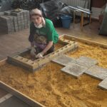 Абилимпикс 2026