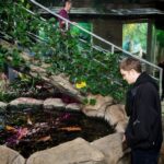 Обучающиеся посетили Экзотариум