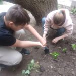 Проект «Цветущий сад»: со вкусом лета и земляники