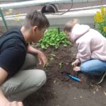 Проект «Цветущий сад»: со вкусом лета и земляники