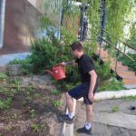 Проект «Цветущий сад»: со вкусом лета и земляники