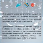 Неделя с 21 по 27 сентября 2026 года объявлена Минздравом России неделей сохранения здоровья легких