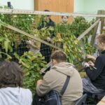 Участие в добровольческой деятельности