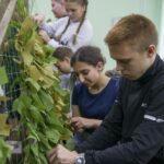 Участие в добровольческой деятельности